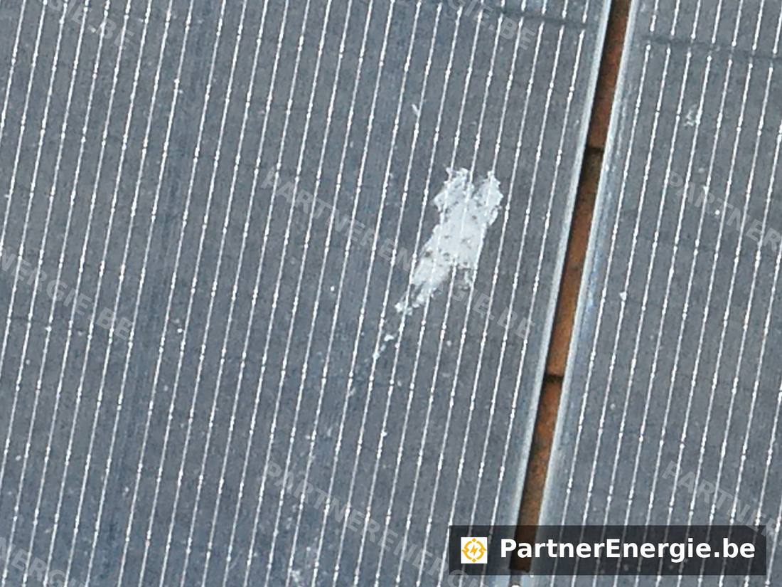 Fientes d'oiseaux sur un panneau photovoltaïque avant nettoyage — Partner Energie